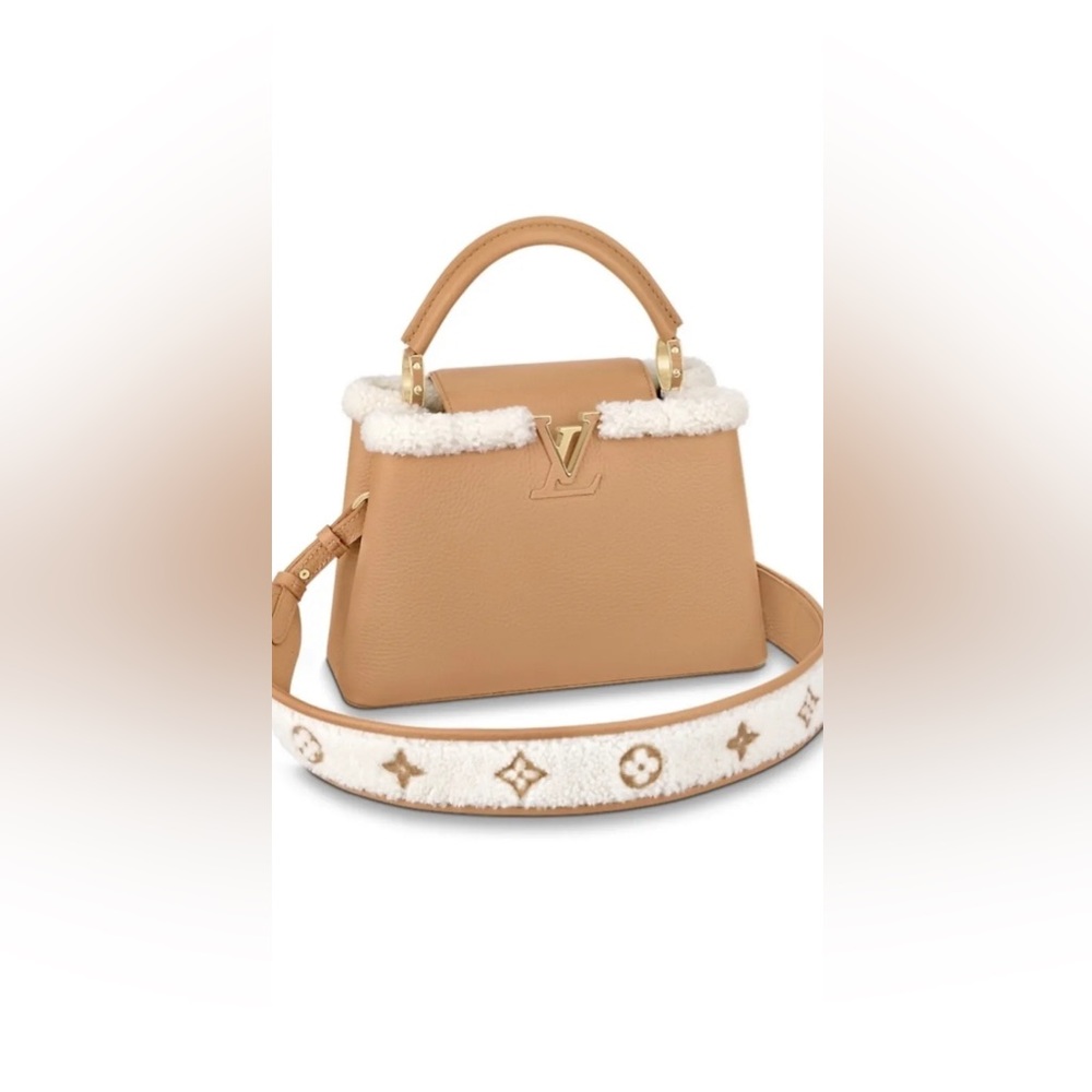Limited Edition Louis Vuitton Capucines BB Bag - Picture 9 of 10